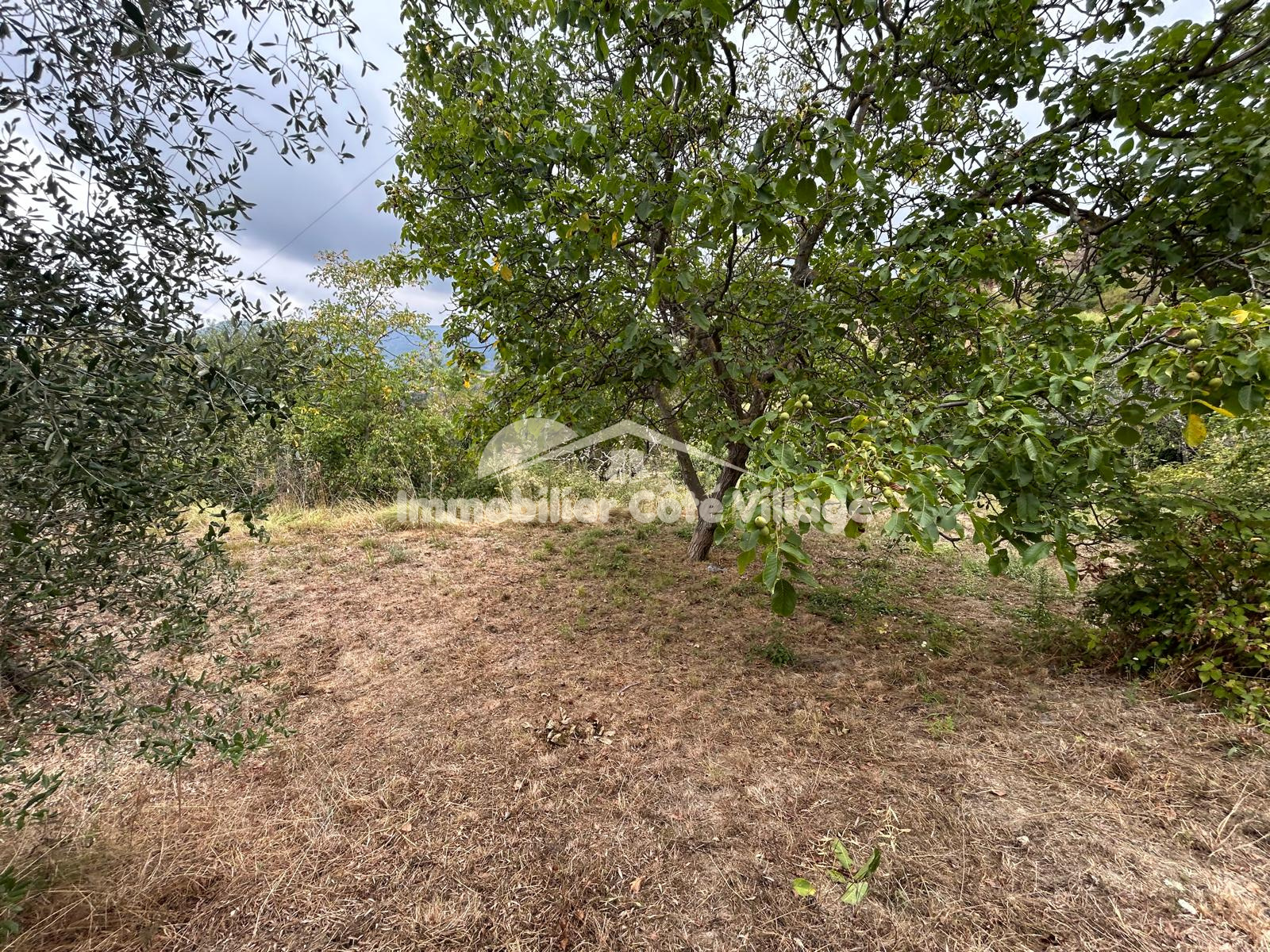 Image_, Terrain, Berre-les-Alpes, ref :RJVTE30000885