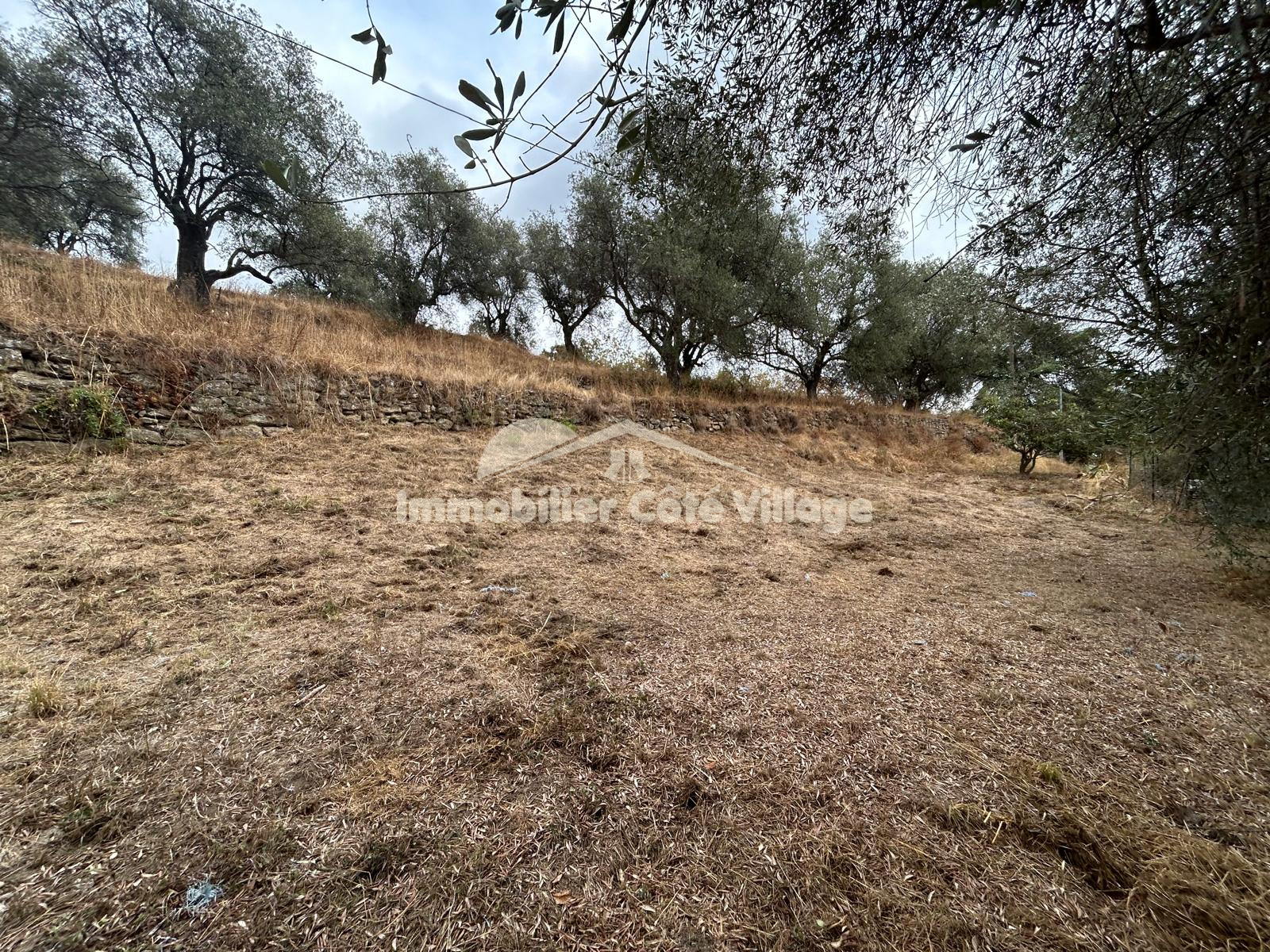 Image_, Terrain, Berre-les-Alpes, ref :RJVTE30000885