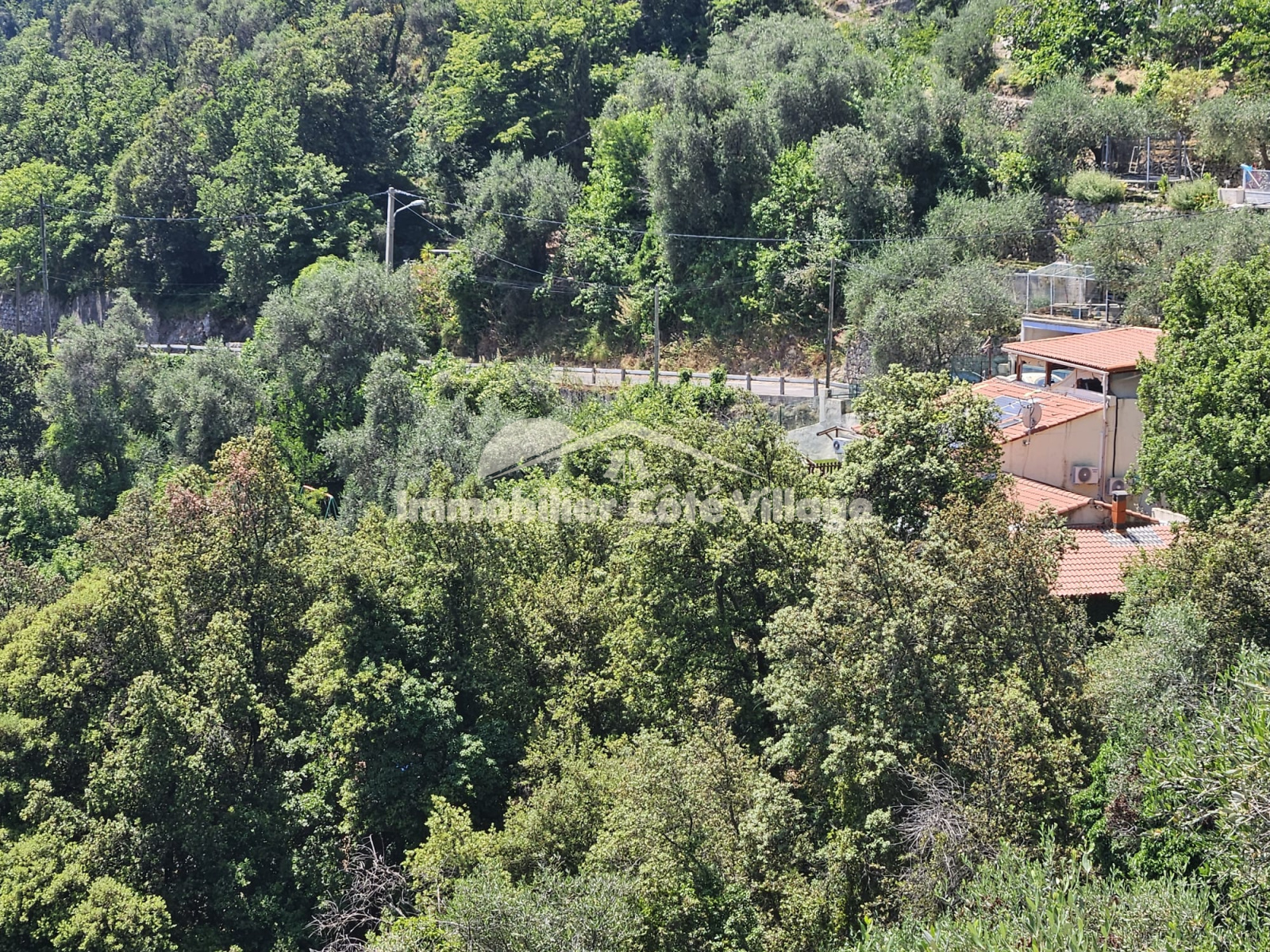 Image_, Villa, Coaraze, ref :IVVI10001099