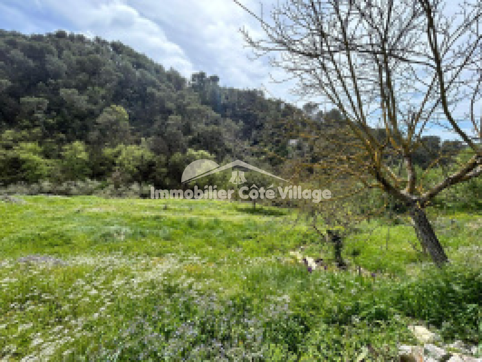 Image_, Terrain, Drap, ref :RJVTE30001107